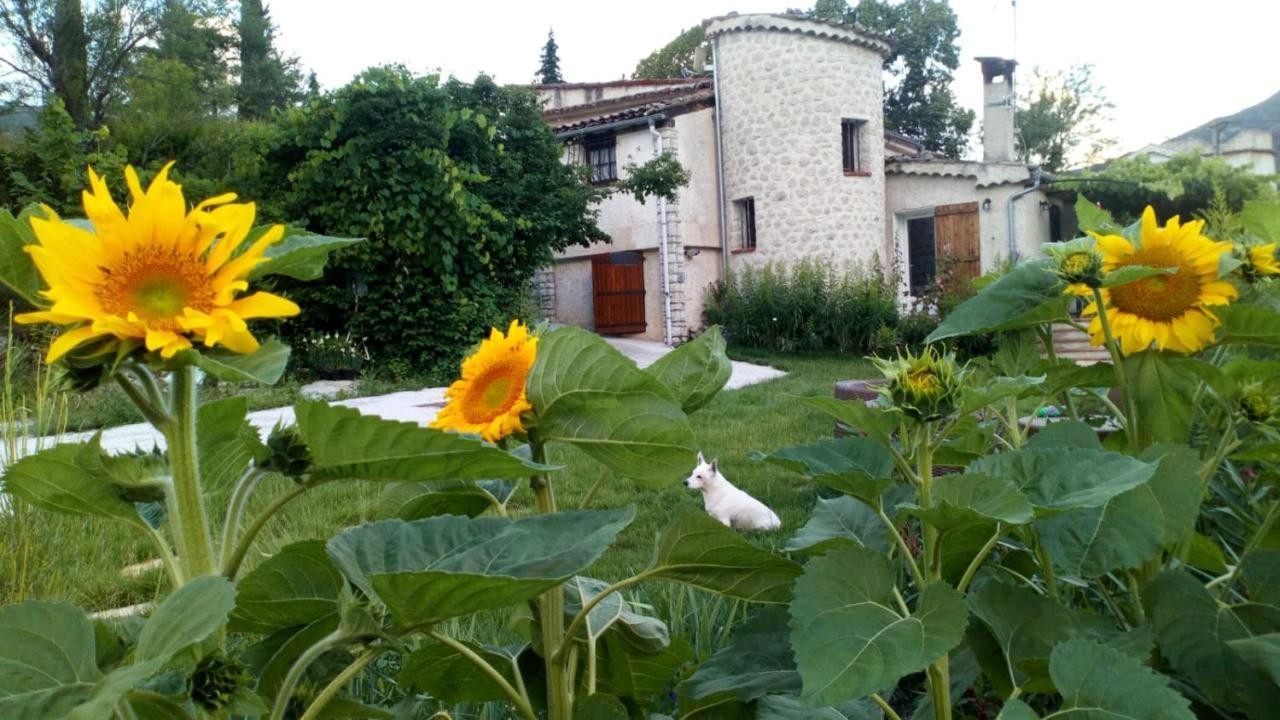 Clot De Felines Chambre Spacieuse Hotell Entrevaux Exteriör bild